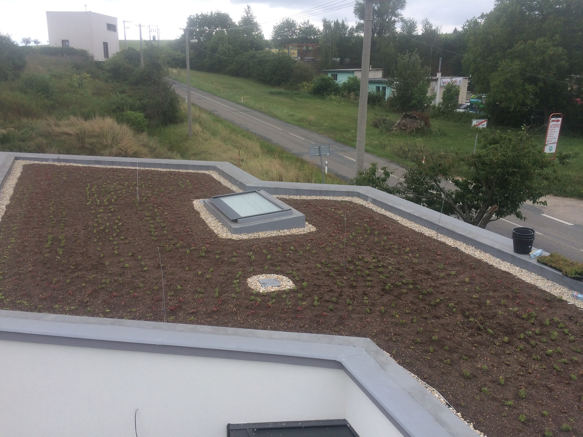 Zelená střecha pro příjemné bydlení